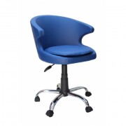 Diva Ofis Koket Çalışma Koltuğu